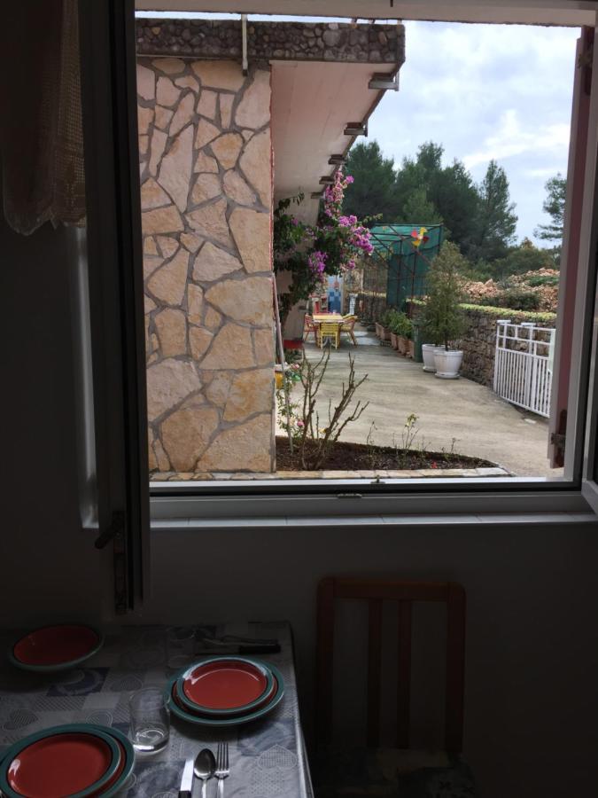 Lipovac Resort Ficus 比利切 外观 照片