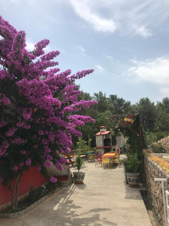 Lipovac Resort Ficus 比利切 外观 照片